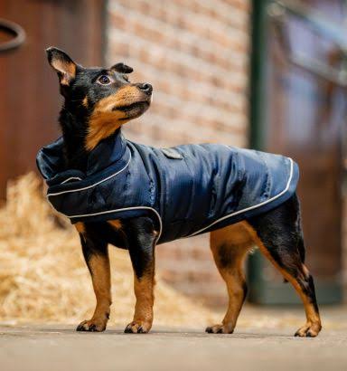 Horseware Signature Dog Rain Coat