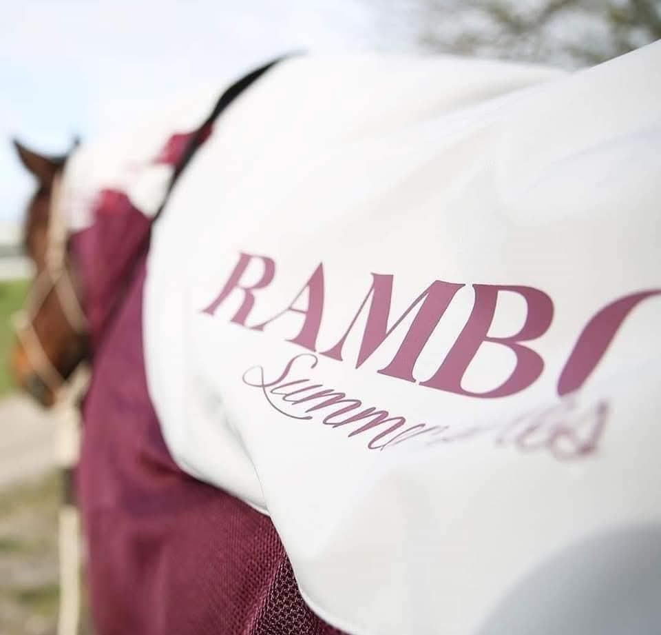 Rambo Summer Series Disc-Front