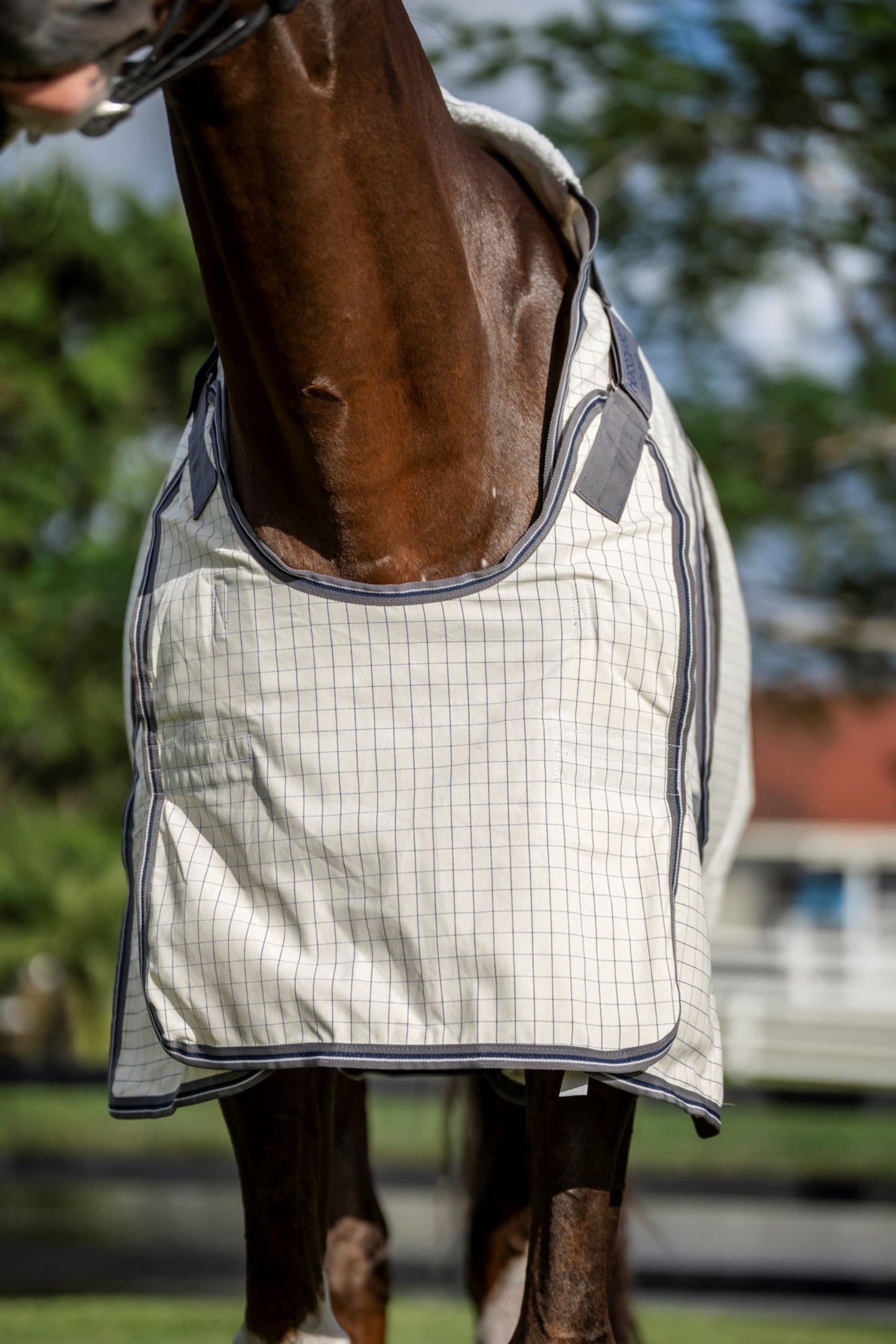 Rambo Optimo Supreme Summer Sheet Plus