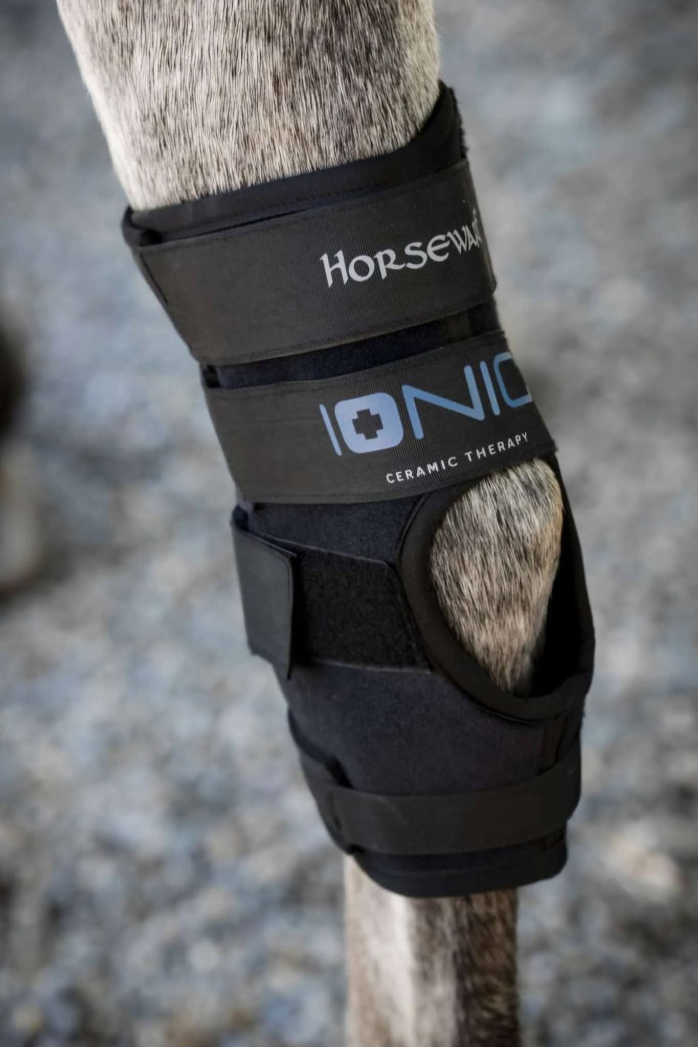 Horseware Ionic Hock Boots