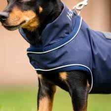 Horseware Signature Dog Rain Coat
