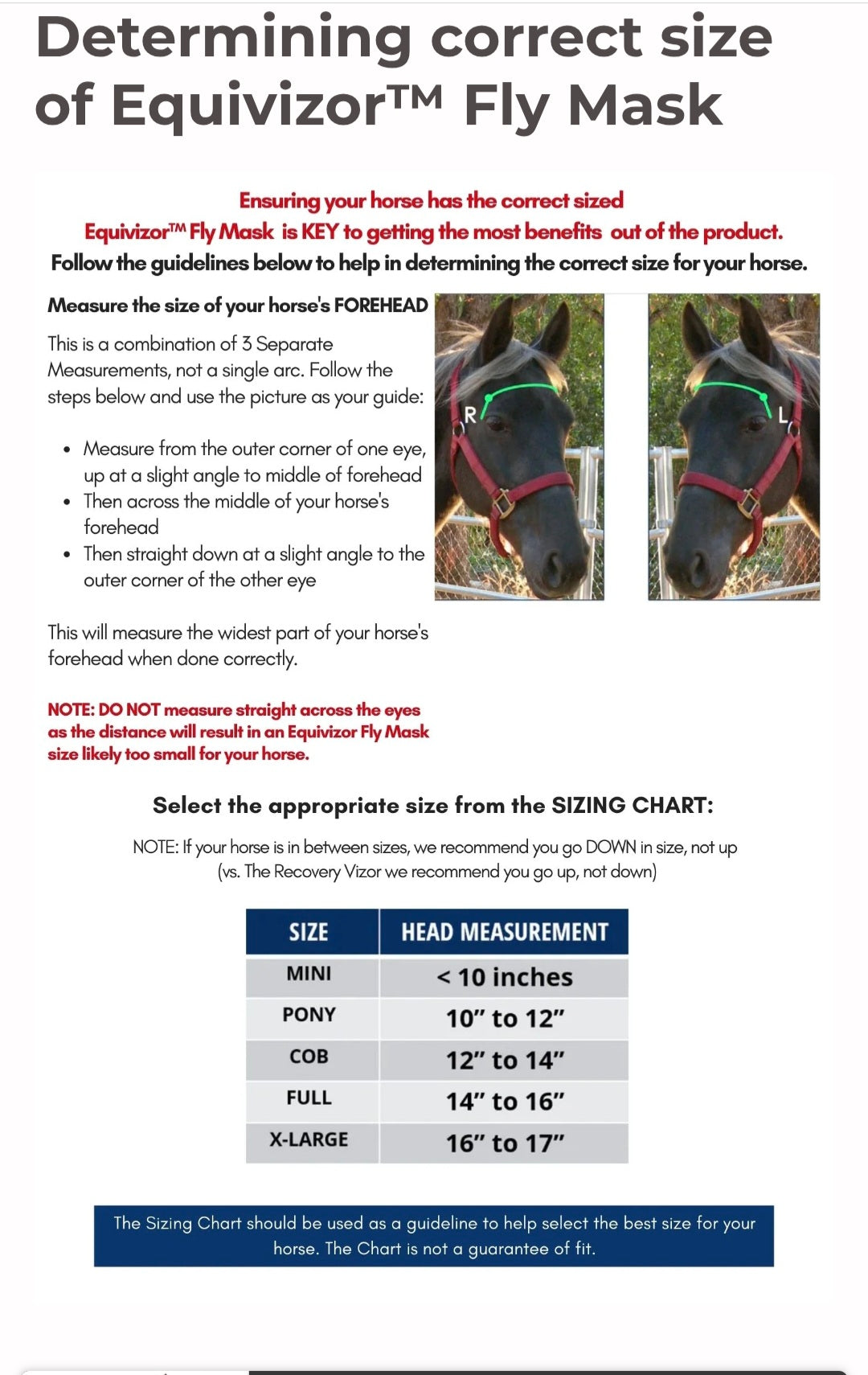 Equivizor™ Fly Mask