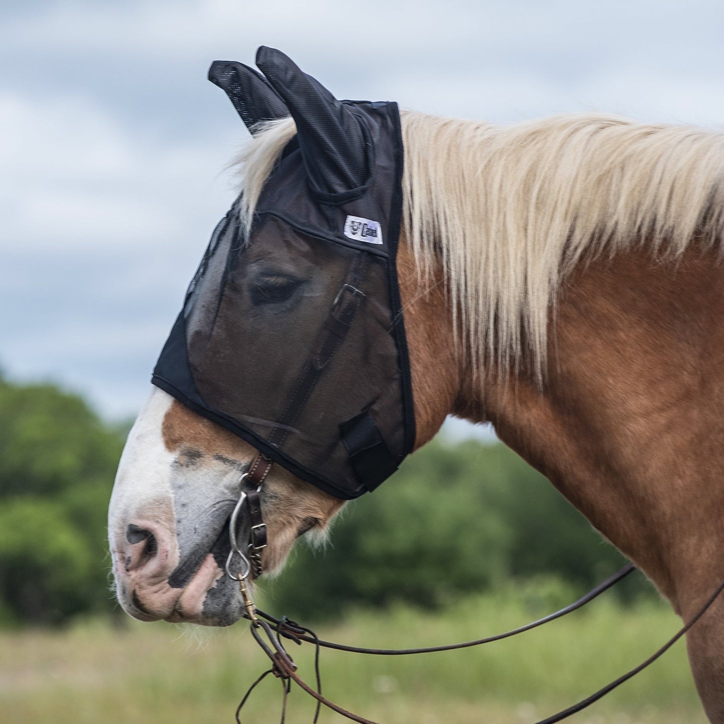CASHEL QUIET RIDE - FLY PROTECTION YOU CAN RIDE IN