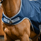 The Amigo Ripstop 900D Walker Rug