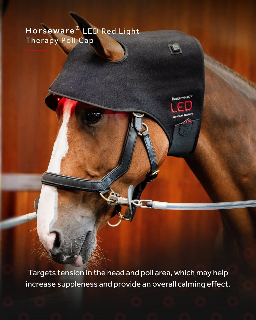 Horseware LED Red Light Therapy Poll Cap