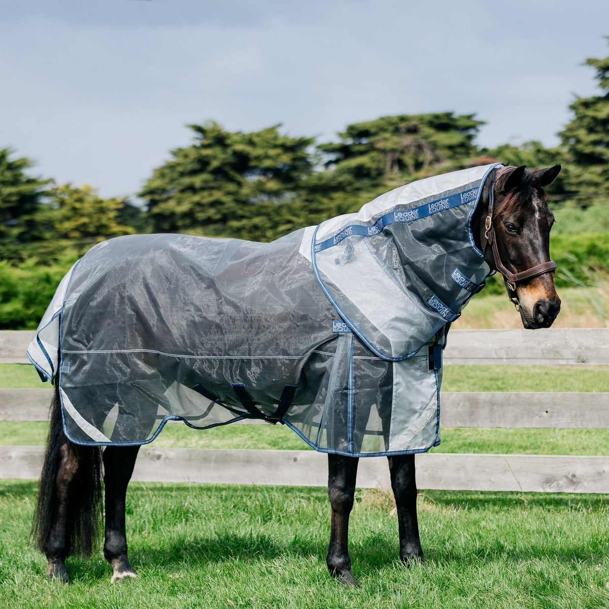 LE DEFENDER ANTI-INSECT RUG