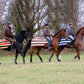 Horseware Newmarket Fleece Exercise Sheet