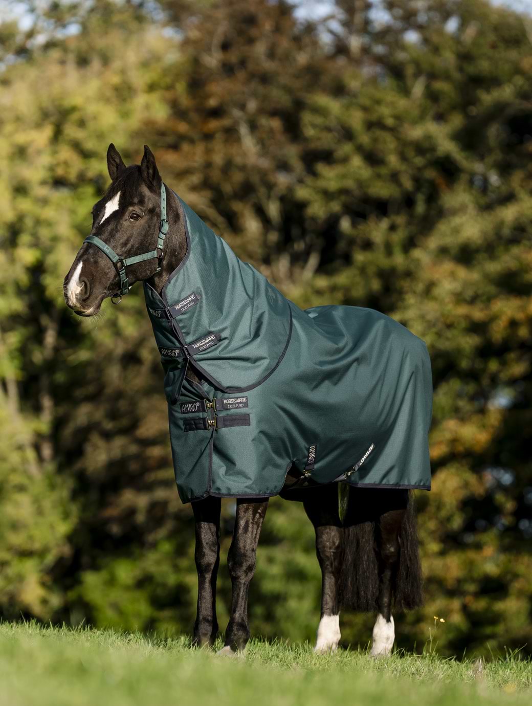 Amigo Ripstop 900D Plus Pony Turnout 0g Lite