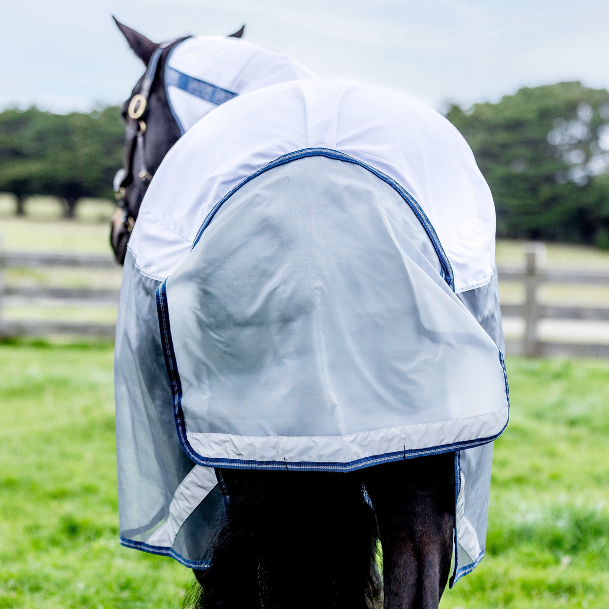 LE Breeze Summer Sheet with Fieldsafe Front