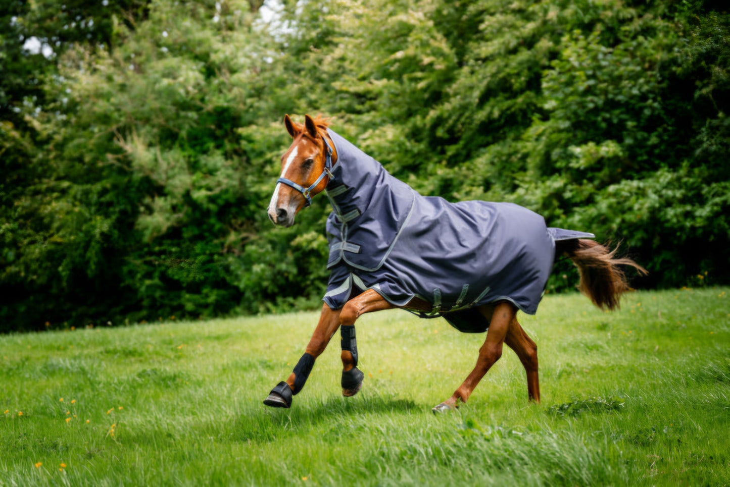 The Rambo® Duo Ripstop Plus Turnout Bundle - 10 Year Guarantee!