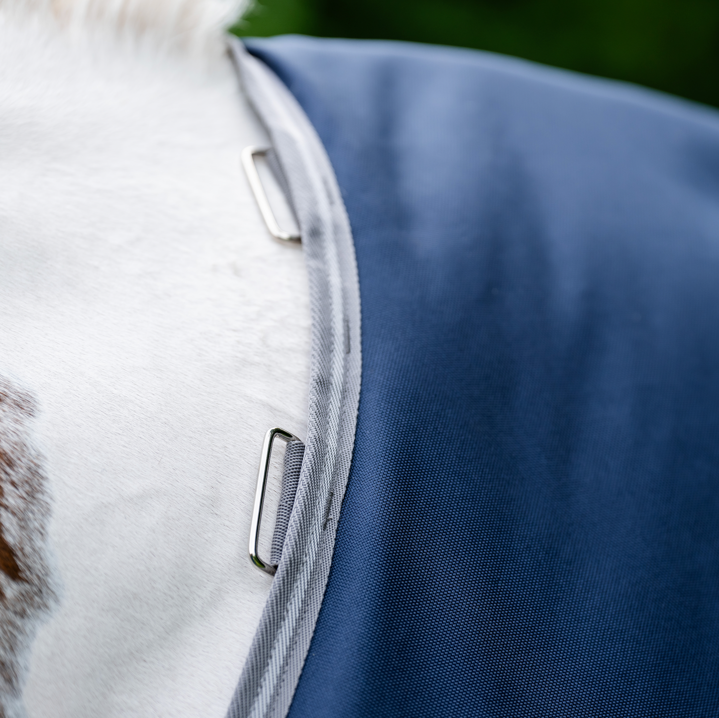 Amigo Bravo 12 XL Turnout 50G Body Rug