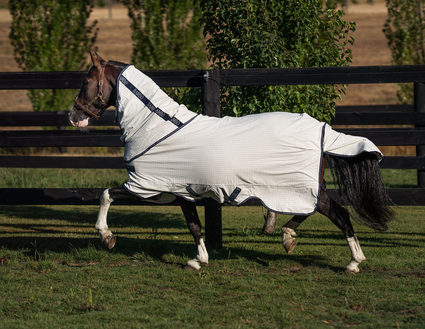 RAMBO ALLROUNDER V-FRONT CLOSURE