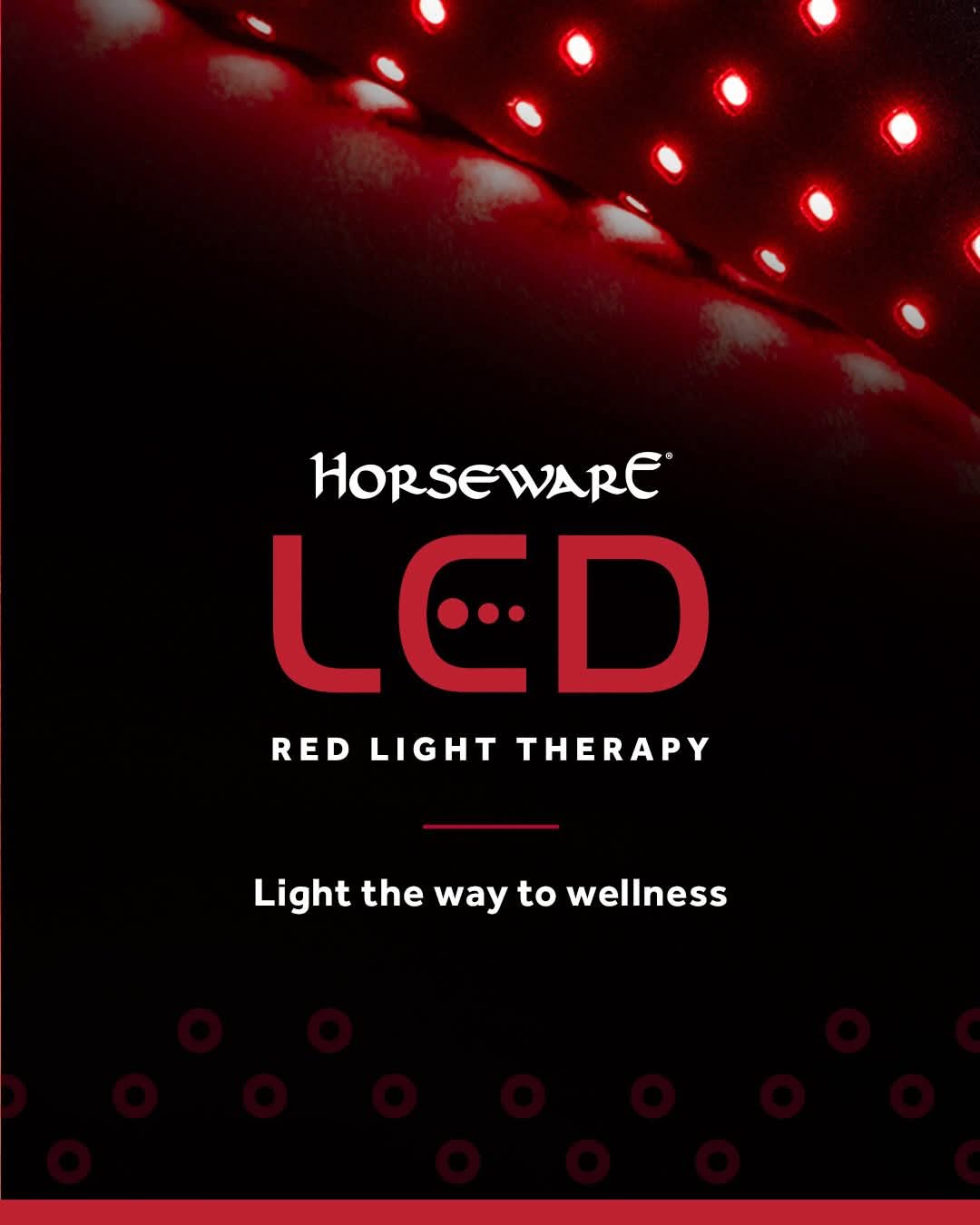 Horseware LED Red Light Therapy Poll Cap