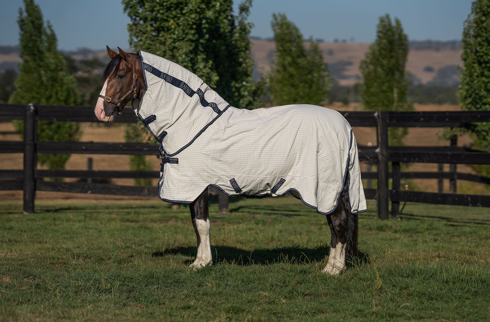 RAMBO ALLROUNDER V-FRONT CLOSURE – ZENN EQUINE - Hard As Nails Horse Rugs