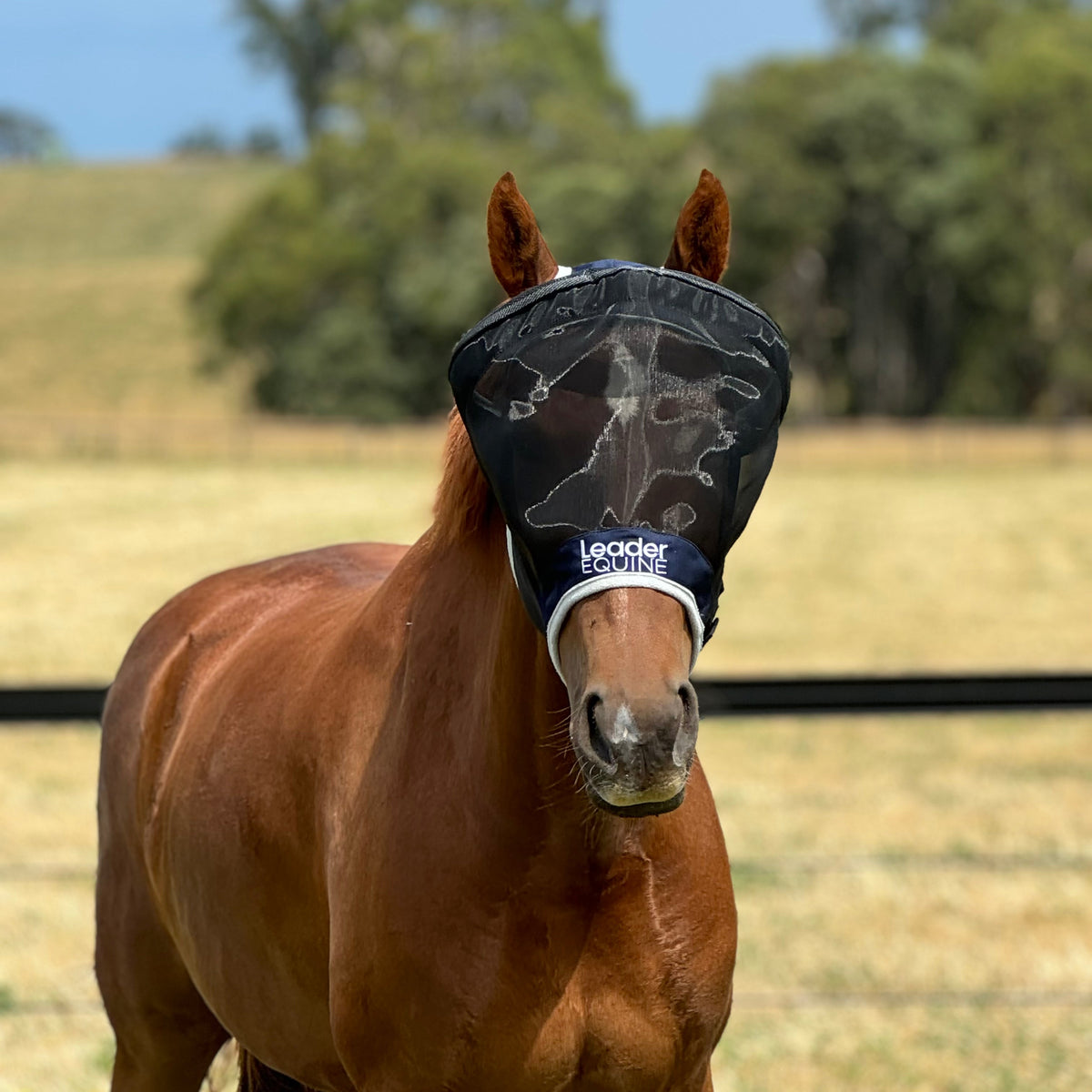 LE Outback Flymask Original