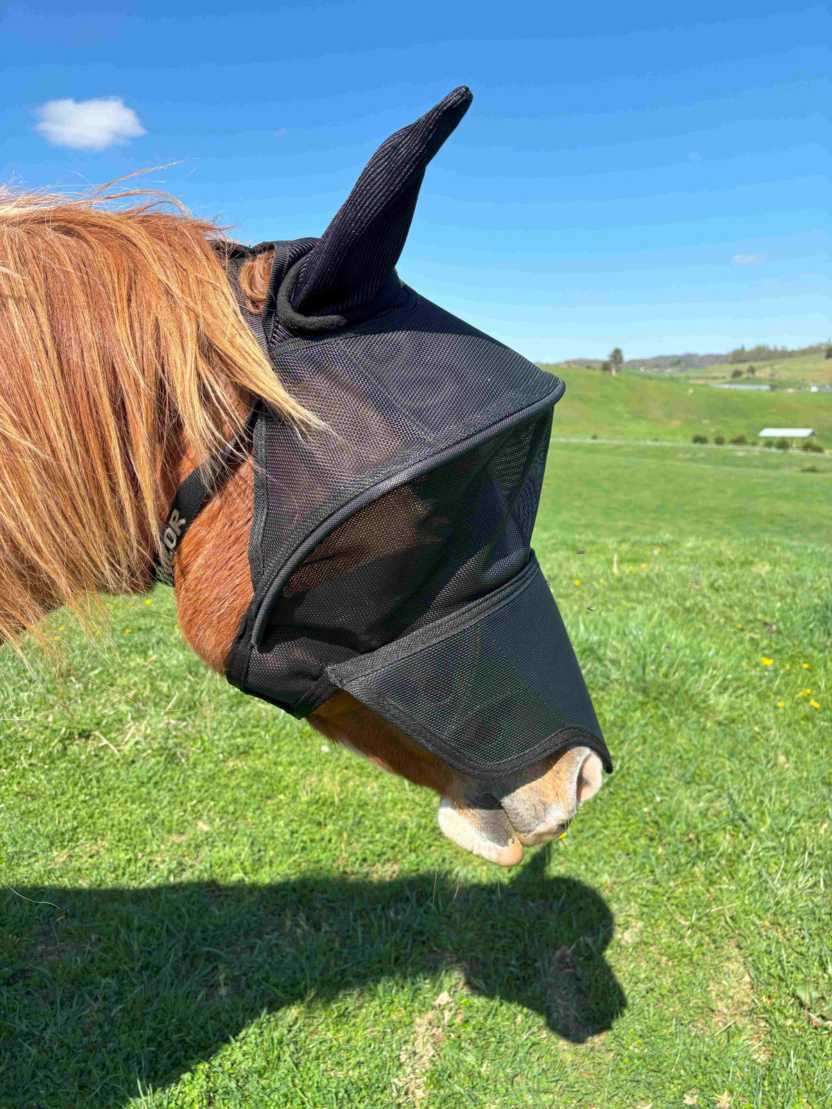 Equivizor™ Solar Veil