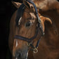 Micklem Leather Headcollar