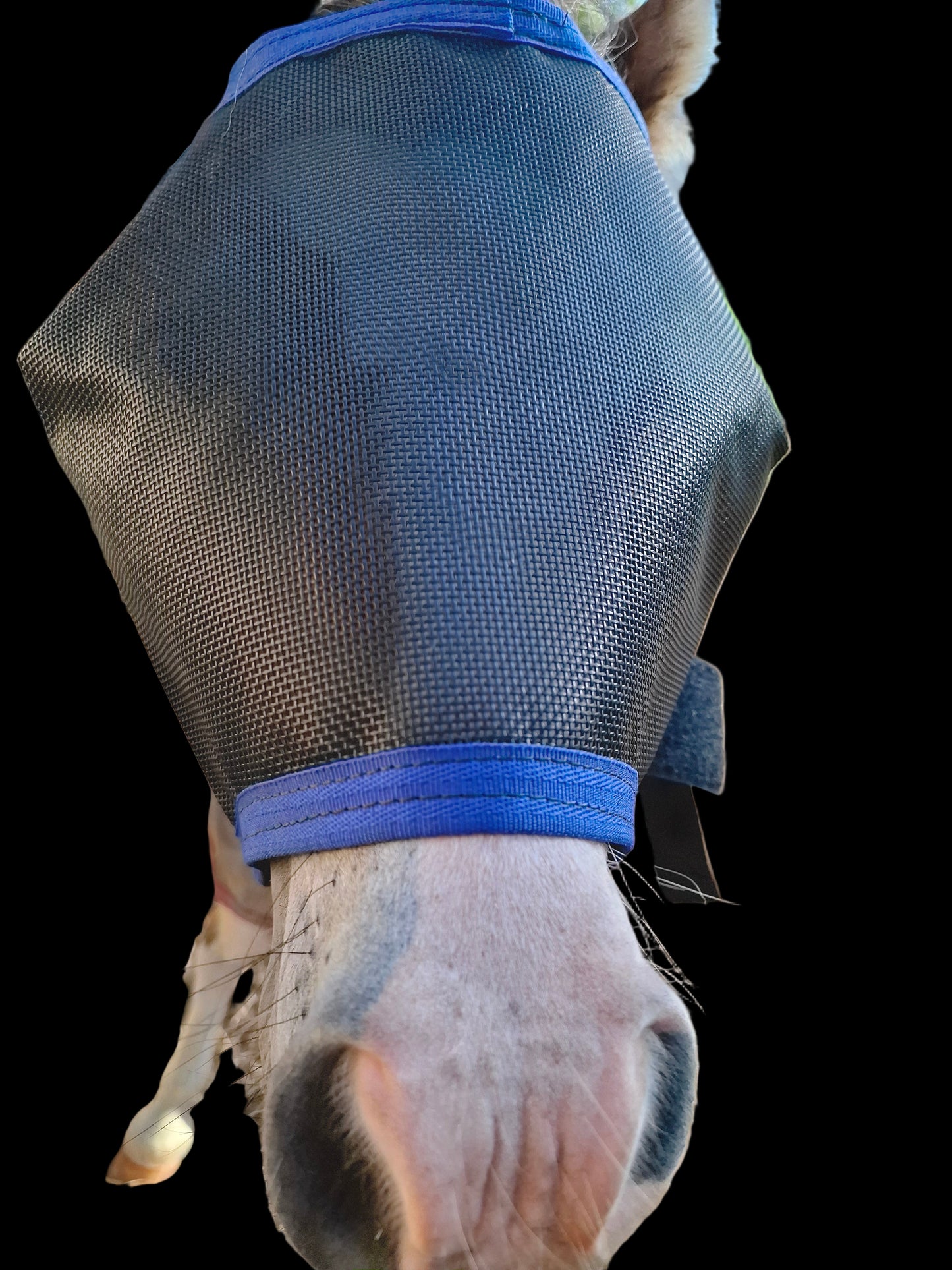 UV PROTECTION 2 PIECE PAIR. Wild Horse Veils With Nose Skirts