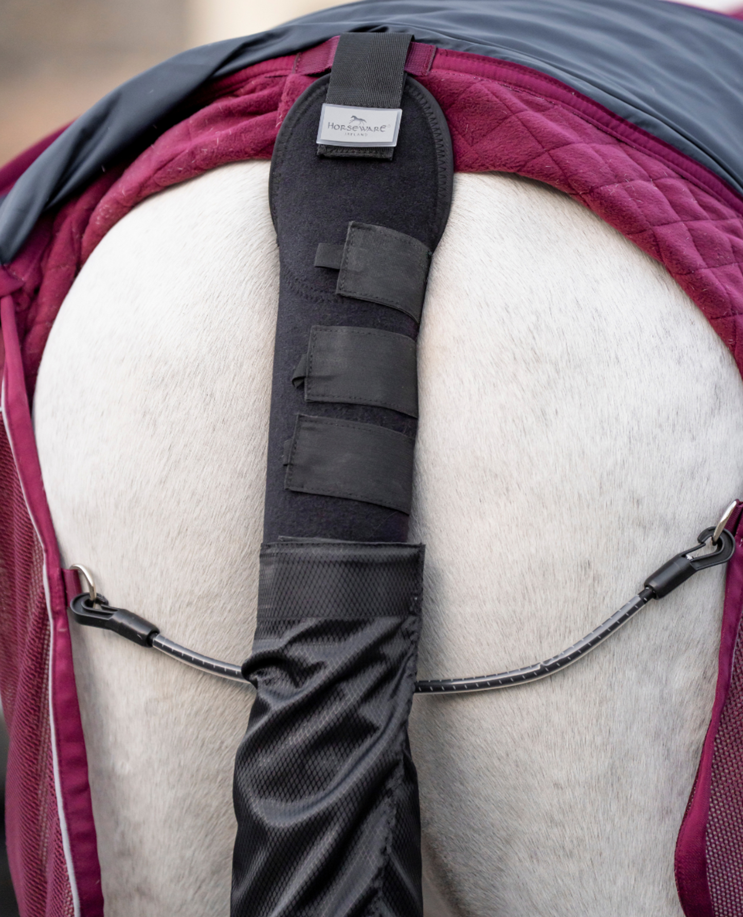Bonus Tail Guard And Bag With Horseware Signature Travel Cooler