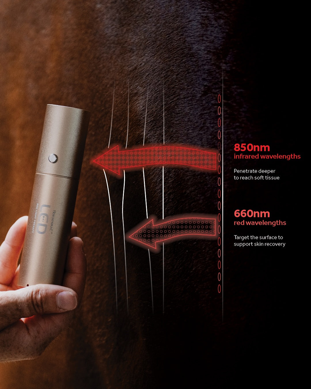Horseware LED Red Light Therapy Wand