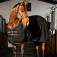 RAMBO STABLE SHEET