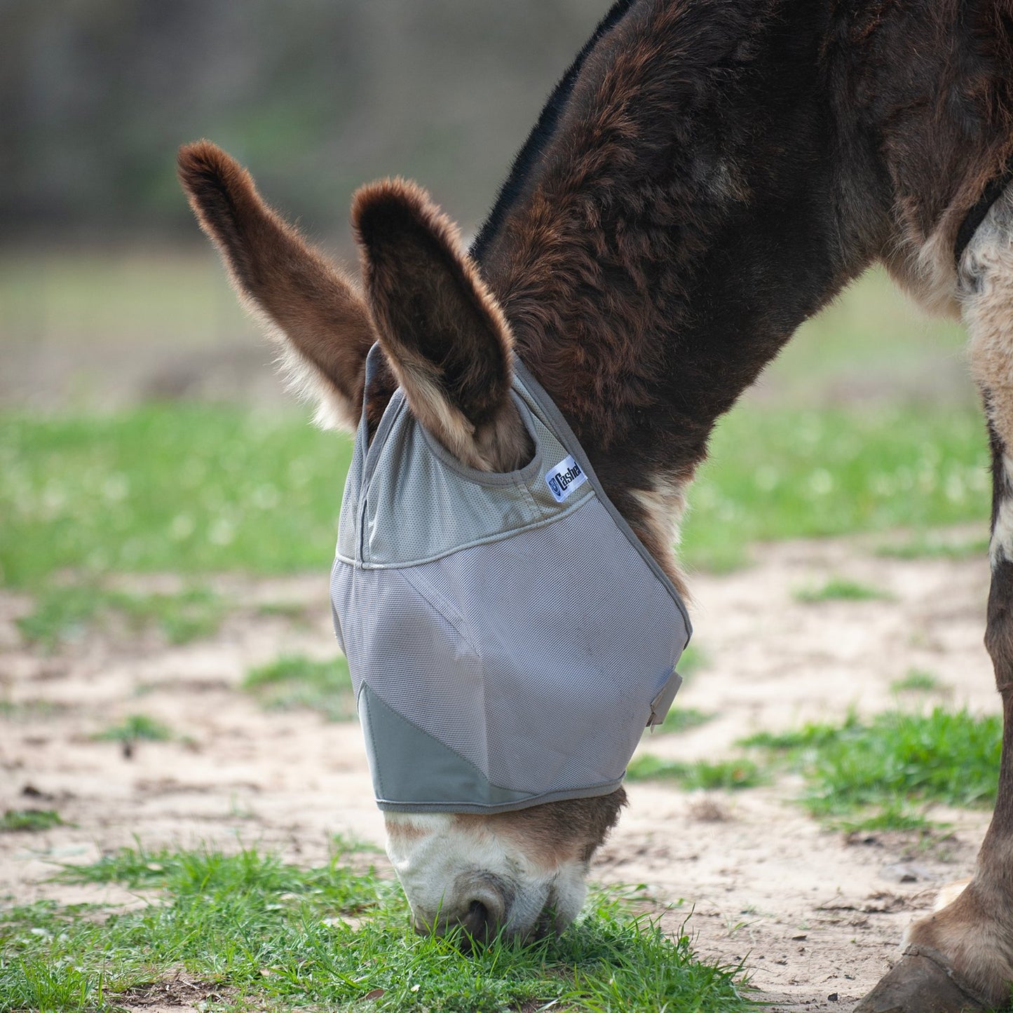 CASHEL CRUSADER & FLY BUSTER FLY MASKS FOR COB, HORSE, WB & DRAFT