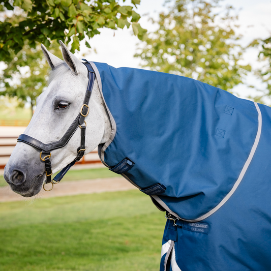 Horseware Ionic® Therapy Turnout Hood (0g Light)