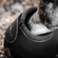 Horseware® Overreach Boots
