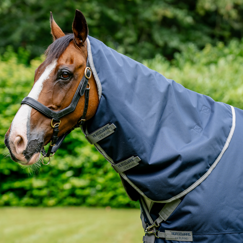 Body Rug Amigo Bravo 12 XL Turnout 0G Body Rug with 🔖BONUS Detachable Neck ...