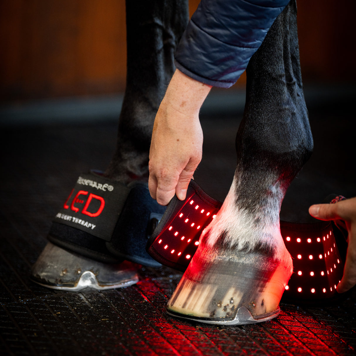 Horseware LED Red Light Therapy Pastern Mini Wraps - PAIRS