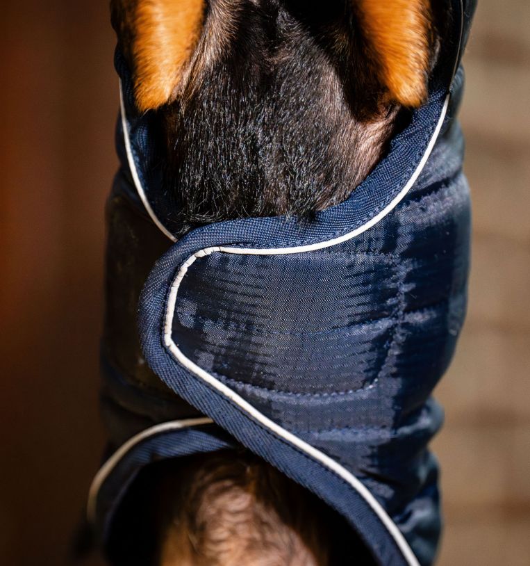 Horseware Signature Dog Rug (200g Medium)