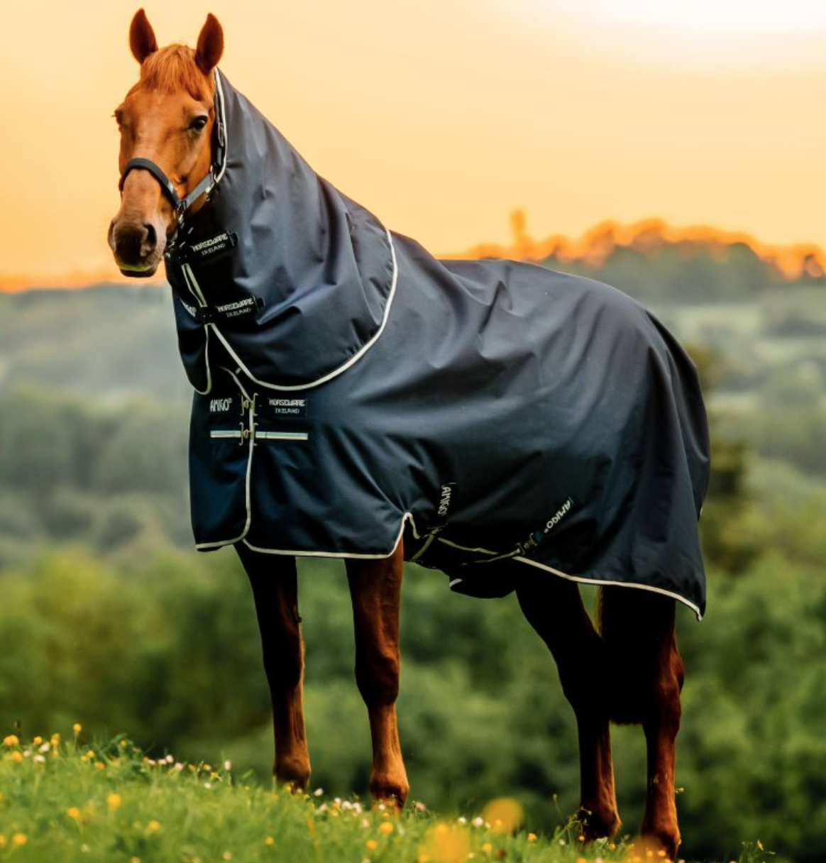 Amigo Ripstop 900D Plus Pony Turnout 0g Lite