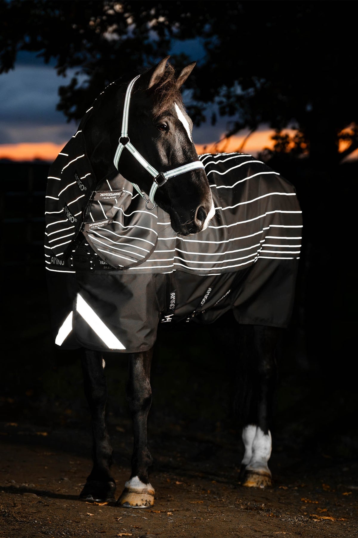 Amigo 1200D DiscFront Reflectech Plus Turnout 0g