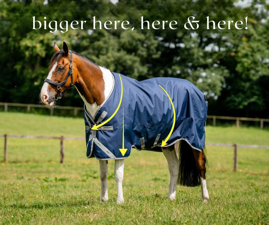 Amigo Bravo 12 XL Turnout 50G Body Rug