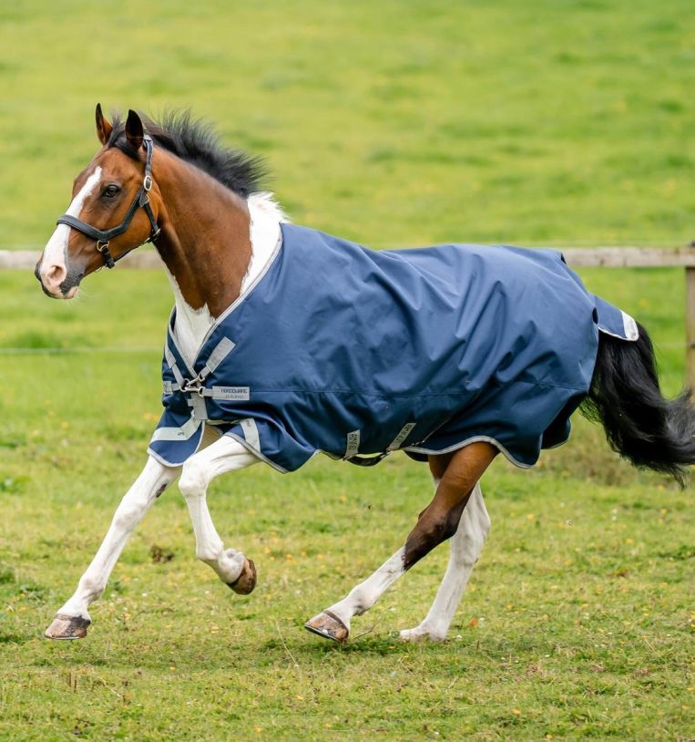 Amigo Bravo 12 XL Neck Rug 0G