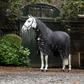 Horseware Show Ready Rug