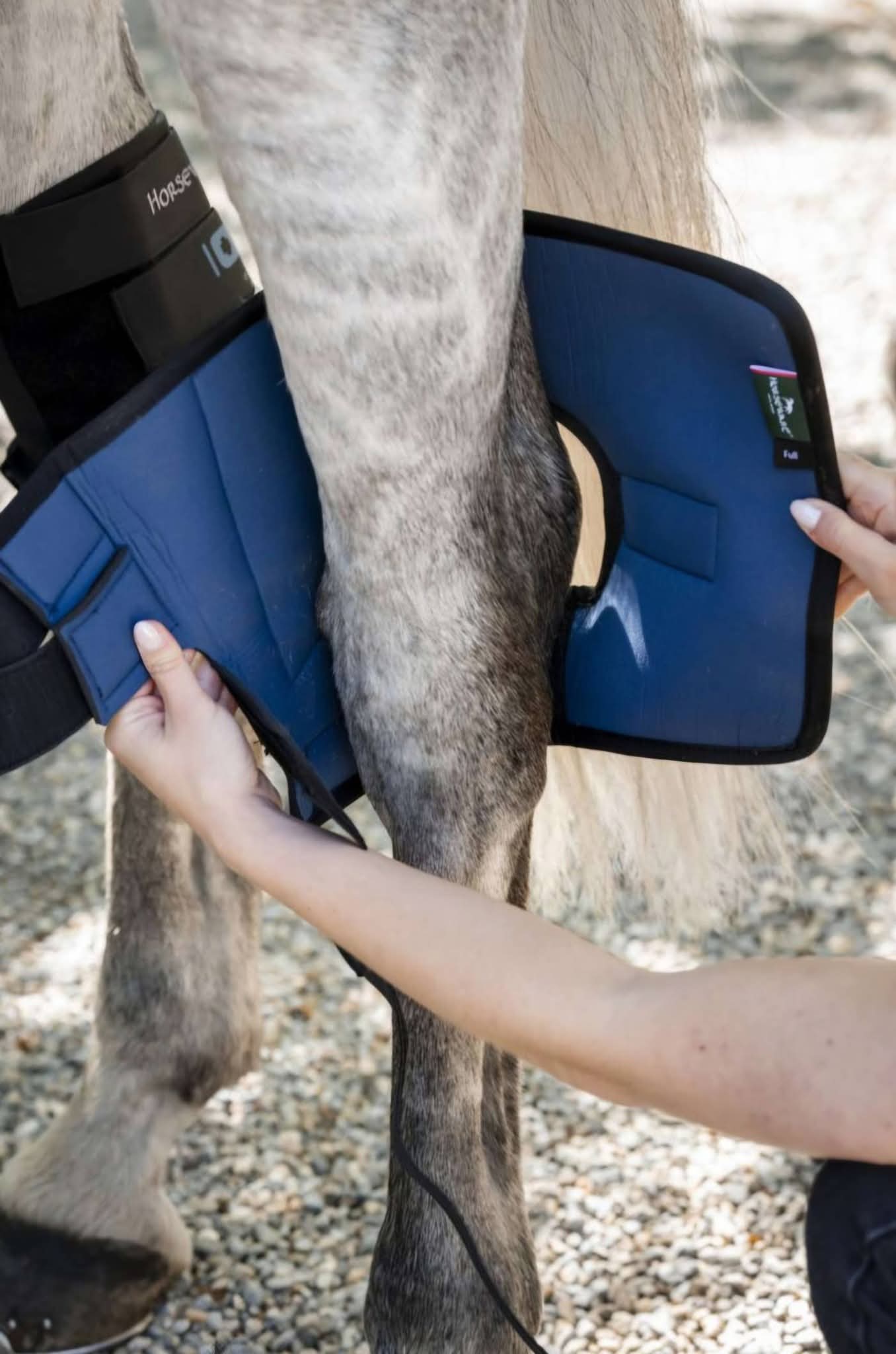Horseware Ionic Hock Boots