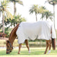 AMIGO BUG RUG XL PLUS New 2025