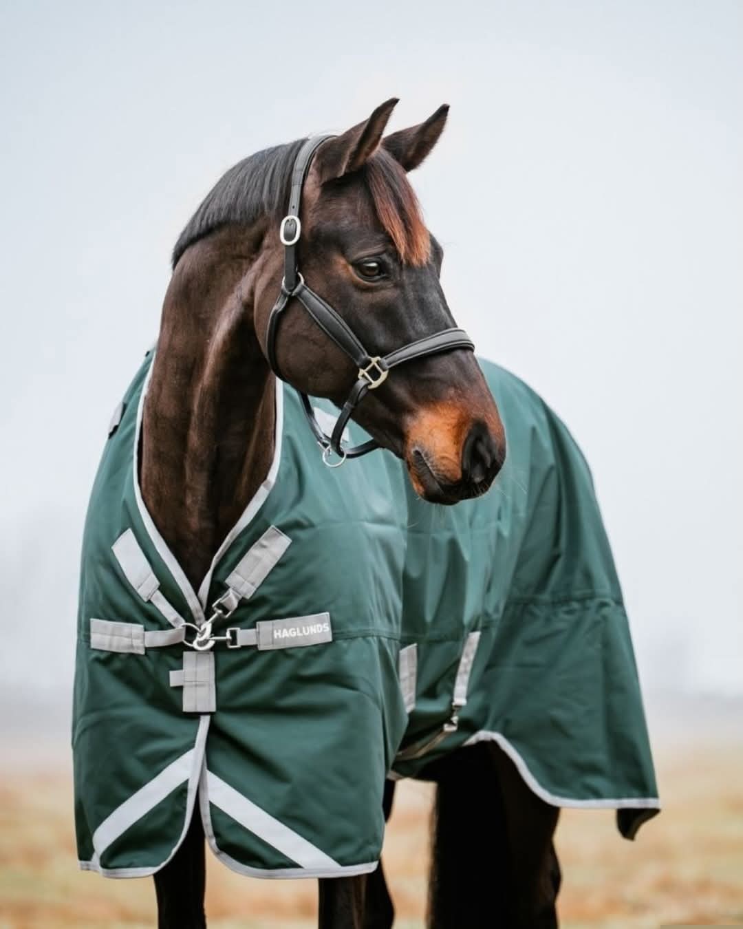 RAMBO ORIGINAL V-FRONT TURNOUT 0G or 100g WITH DETACHABLE NECK RUG