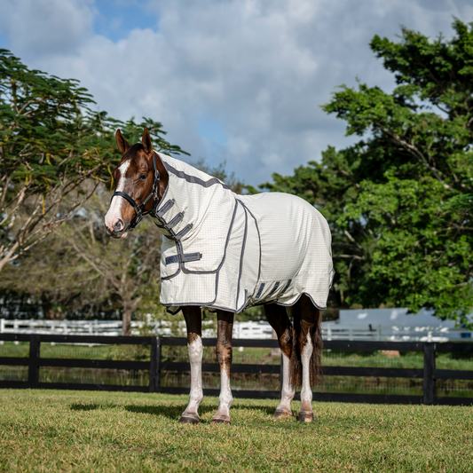 Rambo Optimo Supreme Summer Sheet Plus