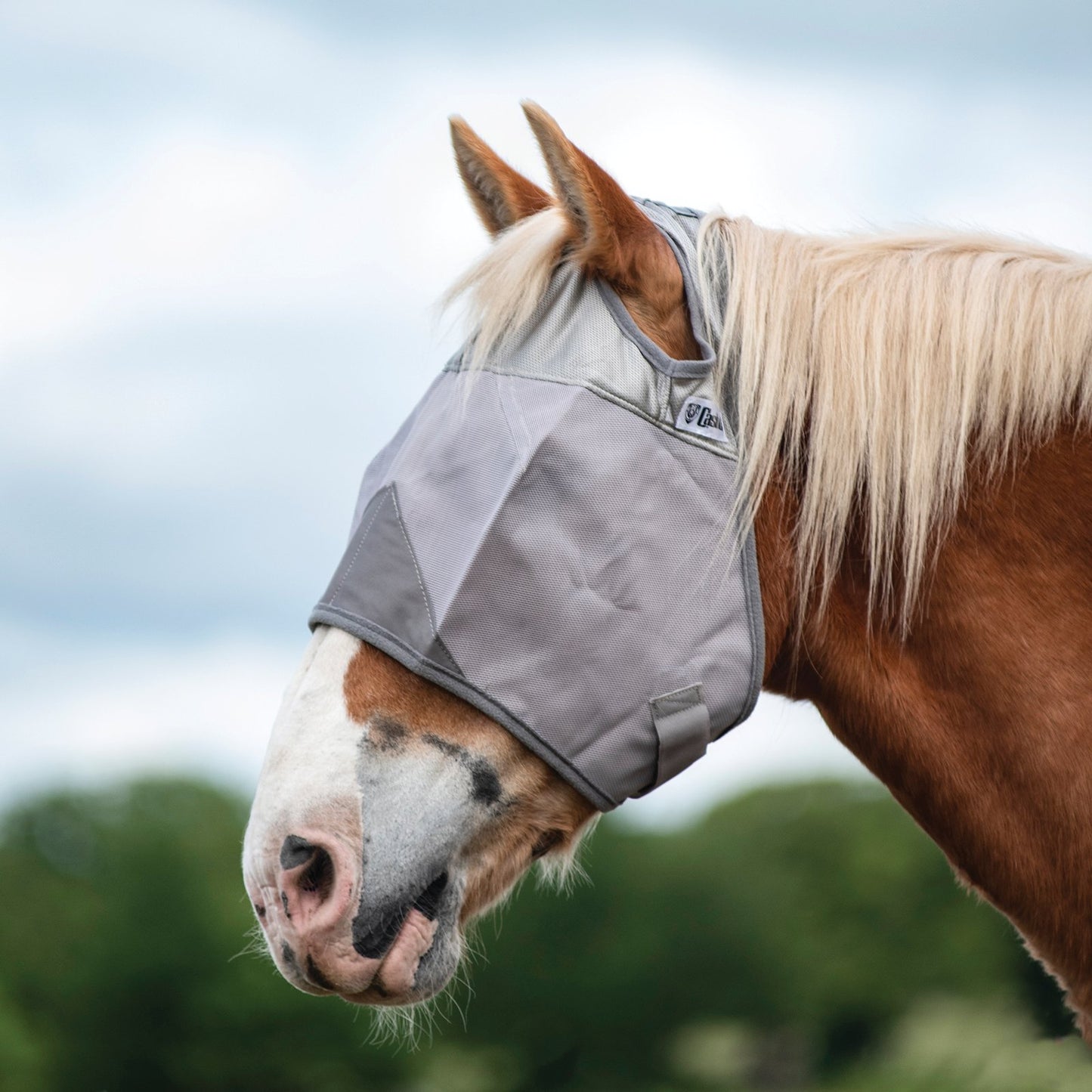 CASHEL CRUSADER & FLY BUSTER FLY MASKS FOR COB, HORSE, WB & DRAFT