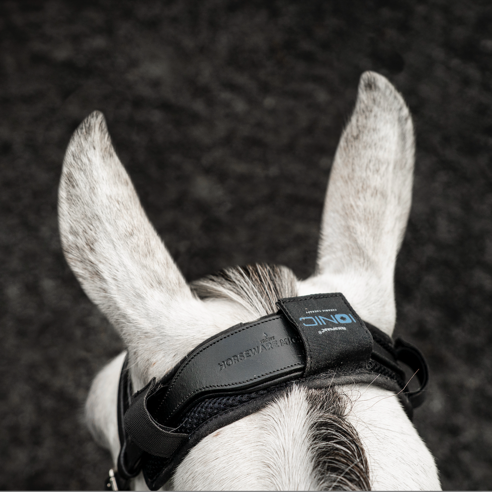 Horseware Ionic Poll Cover