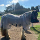 UV PROTECTION 2 PIECE PAIR. Wild Horse Veils With Nose Skirts