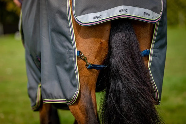 Amigo Bravo 12 Plus Lite 0G (PONY)