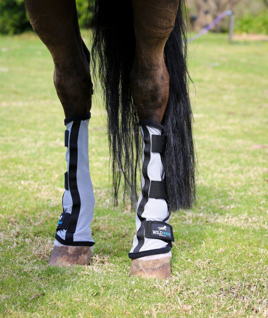 WILD HORSE PROTECTOR INSECT BOOTS