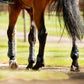 Horseware Pro Bamboo Fetlock Boots