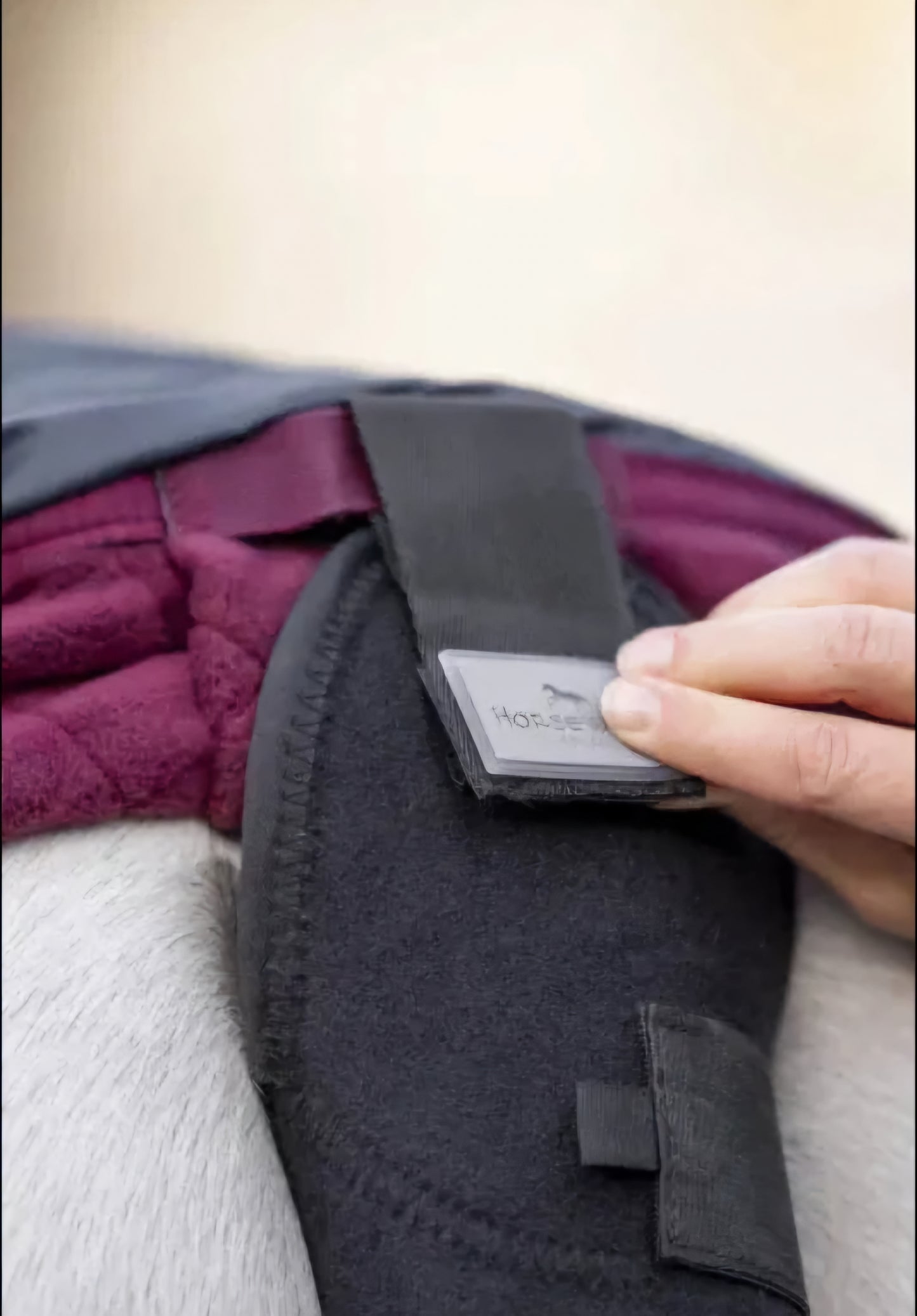 Bonus Tail Guard And Bag With Horseware Signature Travel Cooler