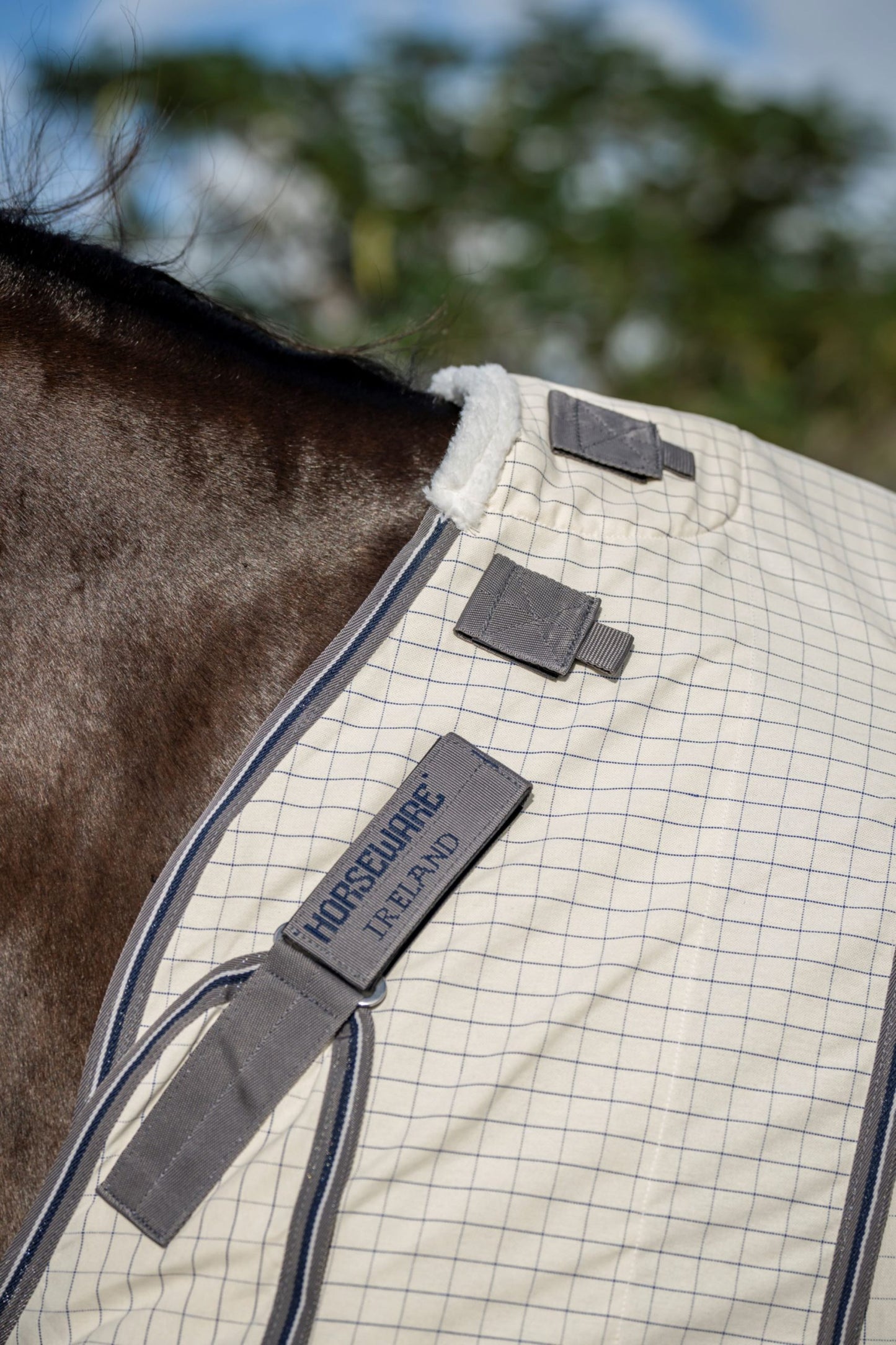 Rambo Optimo Supreme Summer Sheet Plus