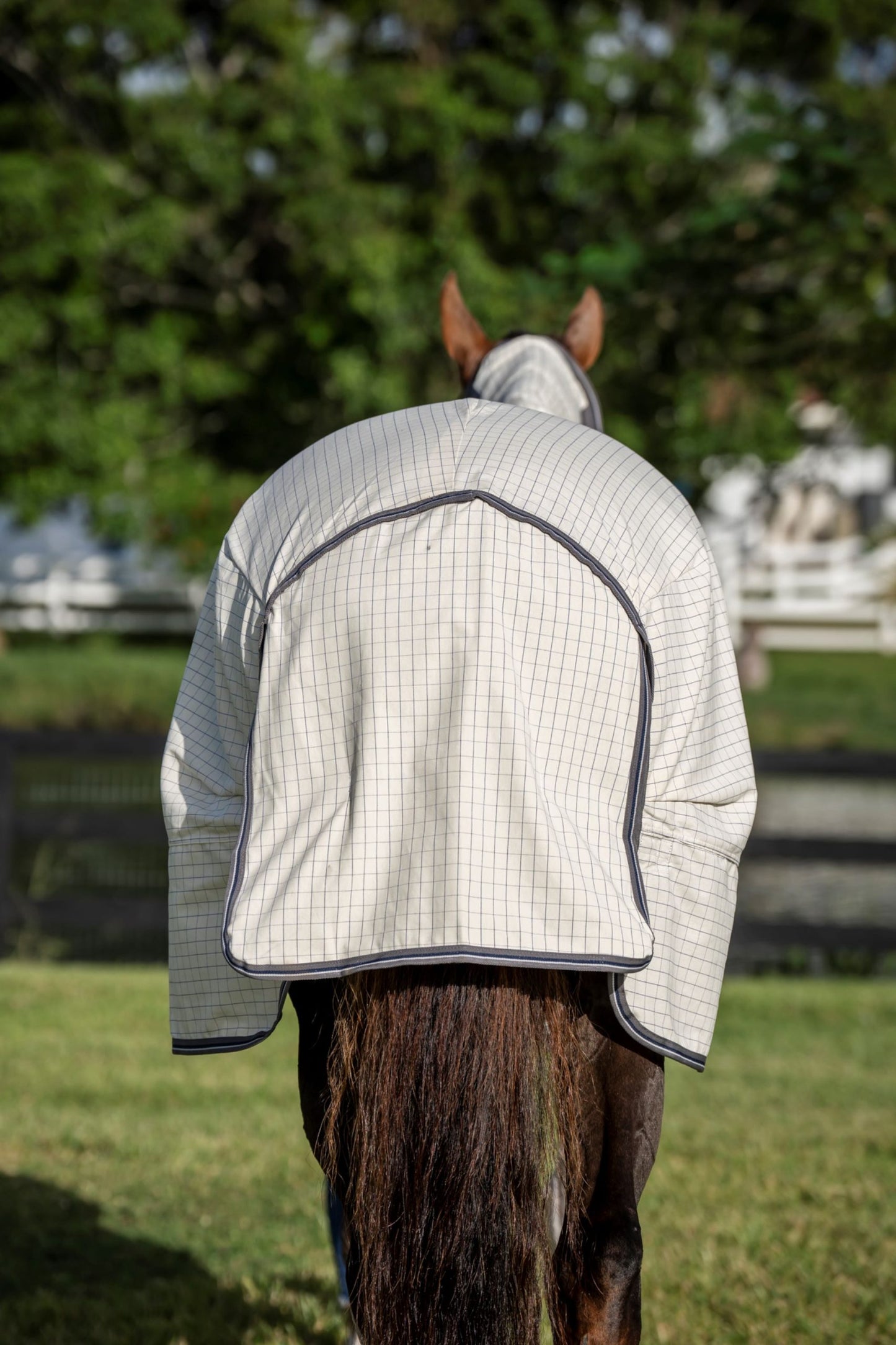 Rambo Optimo Supreme Summer Sheet Plus