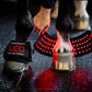 Horseware LED Red Light Therapy Pastern Mini Wraps - PAIRS